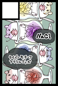 NaCl サークルカット