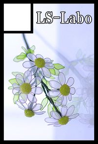 LS-Labo サークルカット