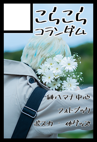 こらこらコランダム サークルカット